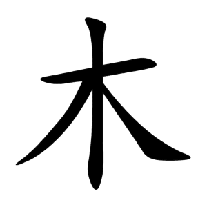 Cách viết kanji-8 Quy tắc viết kanji chuẩn như người Nhật